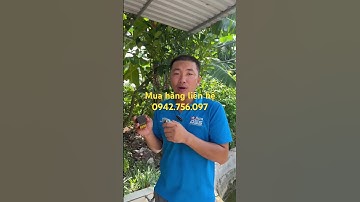 Bộ điều khiển từ xa cho máy bơm giá 75k khoảng cách điều khiển thực tế 50m