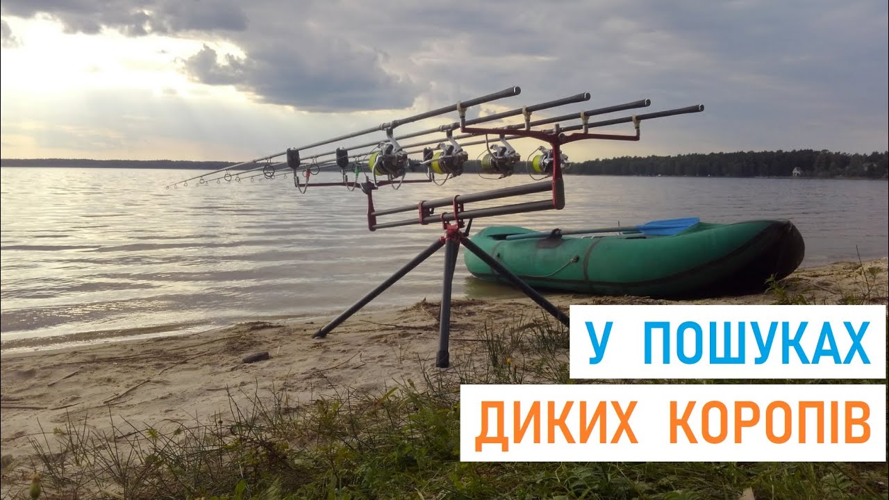 Рибалка на КОРОПА на ДИКОМУ ОЗЕРІ 