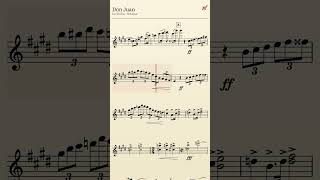 Strauss Don Juan 1st Violin — play along (88 bpm)