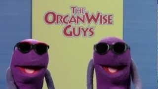 Be Water Wise This Summer with The OrganWise Guys