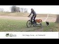 Doggy Tourer Hundeanhänger - ein Testbericht