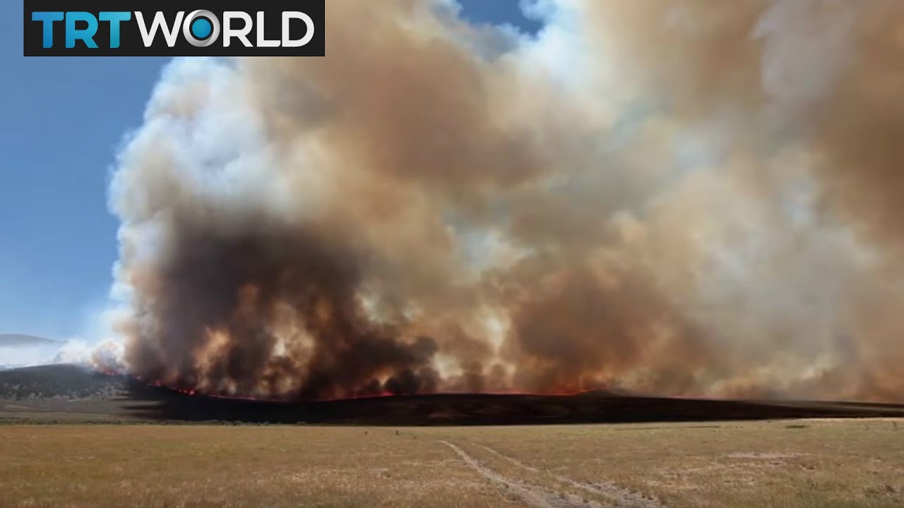Roundtable: Is the sixth mass extinction upon us? - YouTube