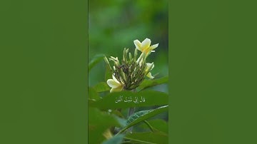 و ليست التوبة للذين يعملون السيئات، القارئ ياسر الدوسري