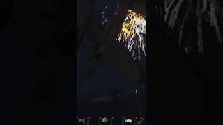 Flying Around Fireworks - SCUM Game