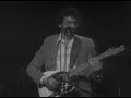 David Bromberg - Full Concert - 04/15/77 - Capitol Theatre (OFFICIAL)