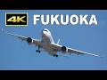 [4K] Circling Approach to Fukuoka RWY34R - A350, B787-10, A330neo, etc. / 福岡空港