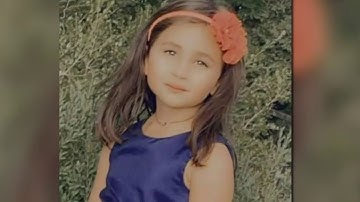 Person of interest identified in deadly hit-and-run of 6-year-old girl in Dearborn