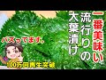 流行りの【やみつき大葉漬け！世界一簡単ver】一度は試して欲しい！しその葉 (大葉レシピ/青ジソ/副菜/大量消費/作り置き/保存食/ご飯のお供/ご飯泥棒