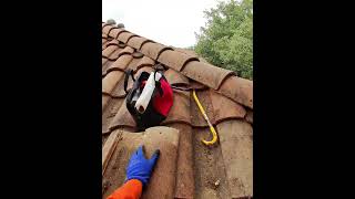 like a needle in a haystack #pestcontrol #wildlife #difficult #roofing #raccoon #construction