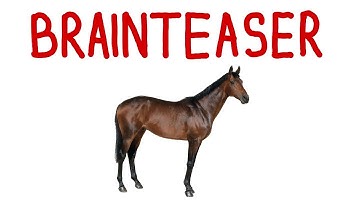 A Popular Interview Brainteaser: The Horse Race