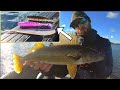How To Fish PLASTICS to Catch MORE Fall Walleyes!