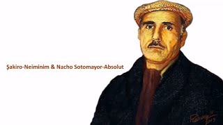 Şakiro - Neminim & Nacho Sotomayor - Absolut
