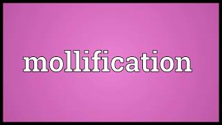 Mollification Meaning