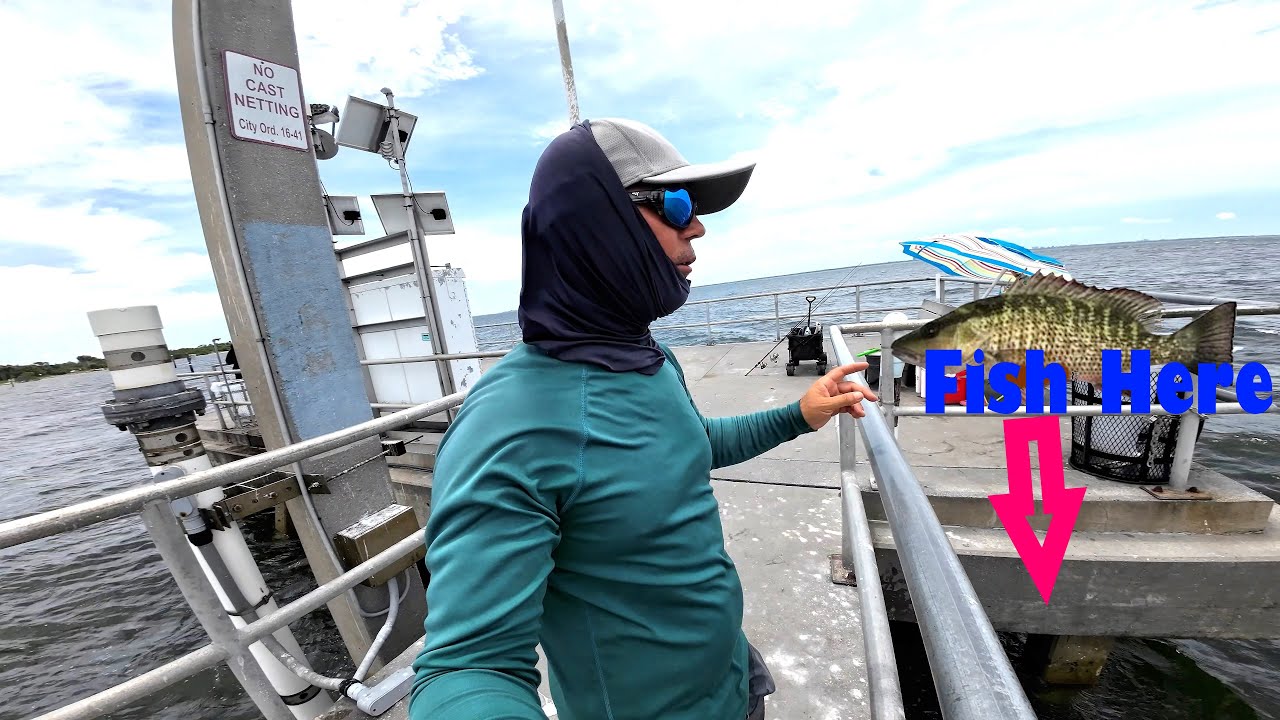 Fishing This Underrated Pier In Tampa bay For NON-STOP Action