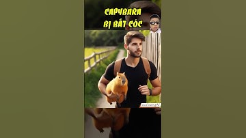 Capybara bị bắt cóc #capybara