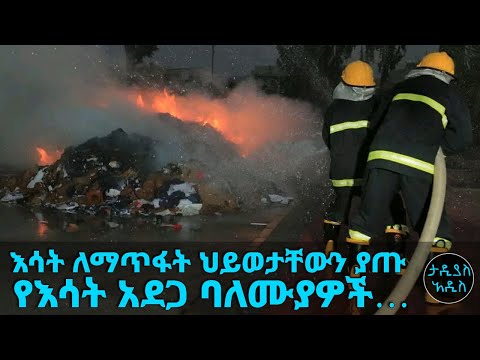 ቪዲዮ: አርክባንክ፡ ግምገማዎች፣ ታሪክ፣ ምርቶች እና ደረጃ