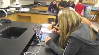 Frog Dissection