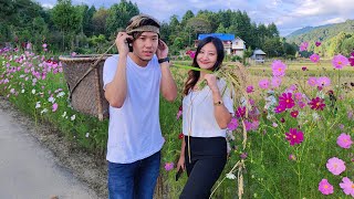 Rice cultivation at Ziro Valley Arunachal and Visit to Kasa Resort with @lenzingweekly5603 |