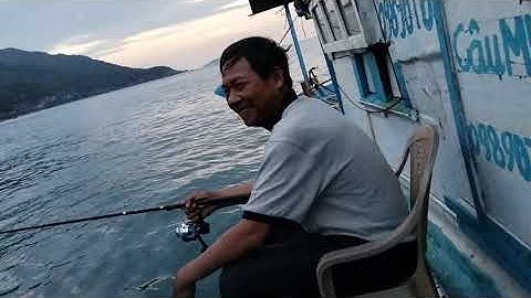 MV đầu tiên Tour đi câu mực đêm thú vị tại Đà Nẵng