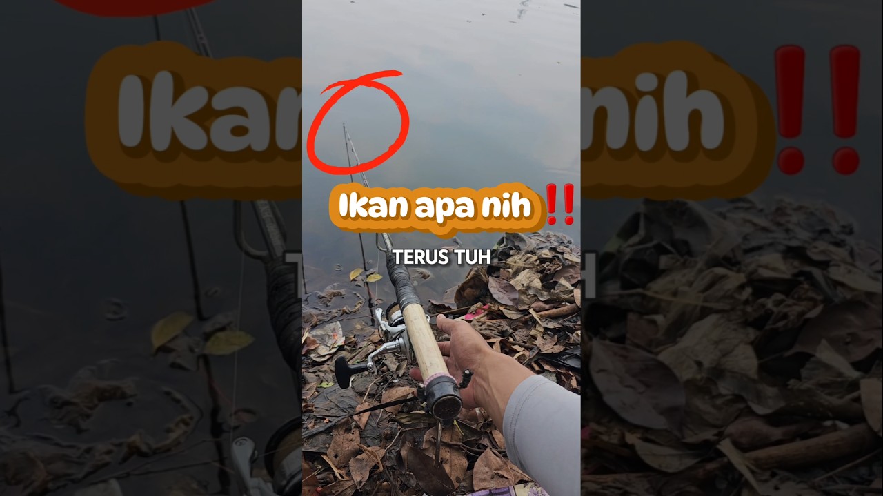 Tambah PENASARAN ⁉️mancing sekitaran setu babakan