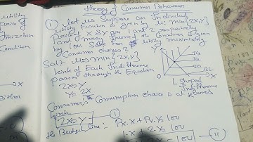 PERFECT COMPLEMENTS UTILITY FUNCTION