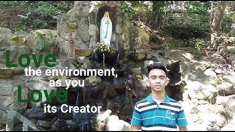 Deforestation (Illegal Logging as a Cause and Extinction of Species as its Effect)