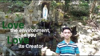 Deforestation Illegal Logging As A Cause And Extinction Of Species As Its Effect