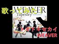 【歌ってみた】トキドキセカイ/WEAVER【カラオケ】
