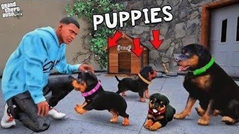 Franklin Found Chop Secret Puppies In GTA 5 | Shinchan and Chop GTA 5
