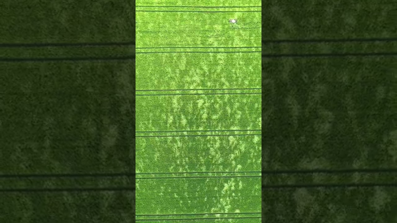 Watch Minimal Fields III on YouTube Watch Minimal Fields III on YouTube
