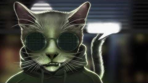 utopia | They call me Crypto Cat