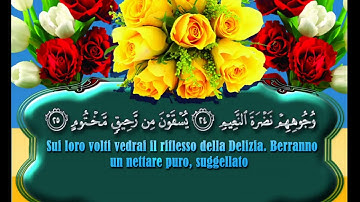 IL SACRO CORANO 83  Al Mutaffifin I Frodatori husary 1سورة المطففين الشيخ محمود خليل الحصري