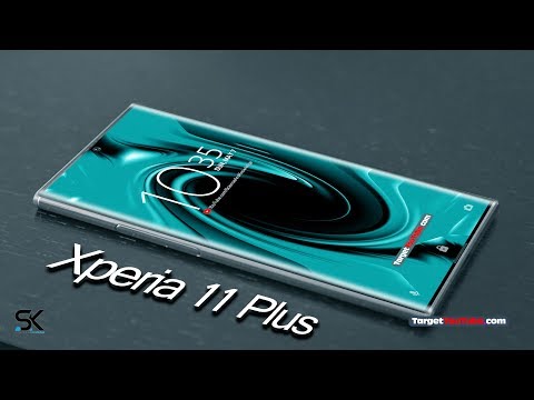 Sony Xperia 11 Plus (2020) Introduction