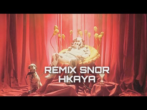 Remix SNOR HKAYA Rai