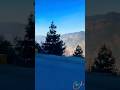 Nathia Gali #shortvideo #nature #travel #youtubeshorts #shortsfeed #shorts #shortsvideo #nathiagali