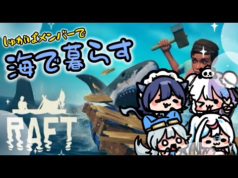 【シュガーパニック】島流しに遭いました【葉月こより】【シュガパ】【Raft】