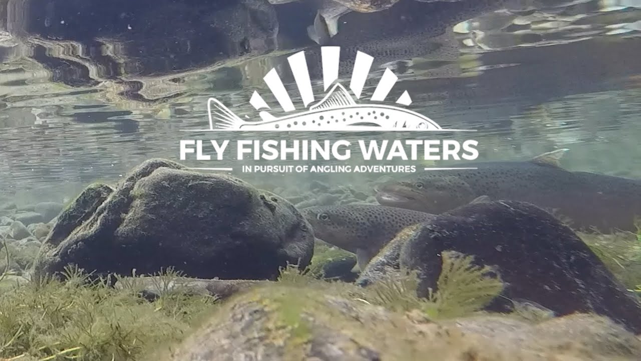 Fly Fishing Rock Creek  Western Montana - Fly Fishing Waters