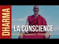 Bouddhisme  meditation  s01 ep08  la conscience