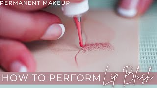 In Depth Lip Blush Permanent Makeup Training on Latex Practice Skin