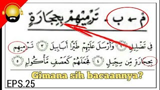 The Law of Mim Sukun | The Law of Mim Sukun Meets the Letter Ba' | Ikfa' Syafawi