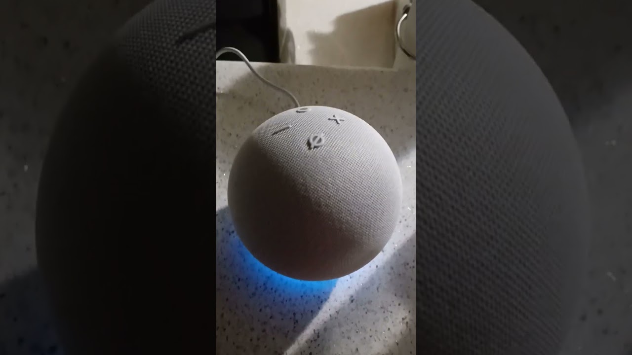 Echo Dot making fart noises