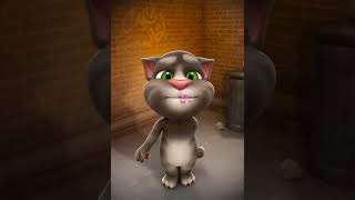 Talking Tom Clear The Birthday Cake