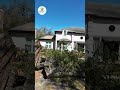 Maitland Florida Tree Removals - Crane Assisted Part 8