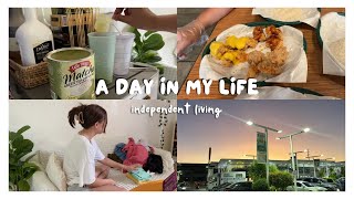 independent living in ph ☀ laundry day, making matcha, mr. diy haul, unli chicken