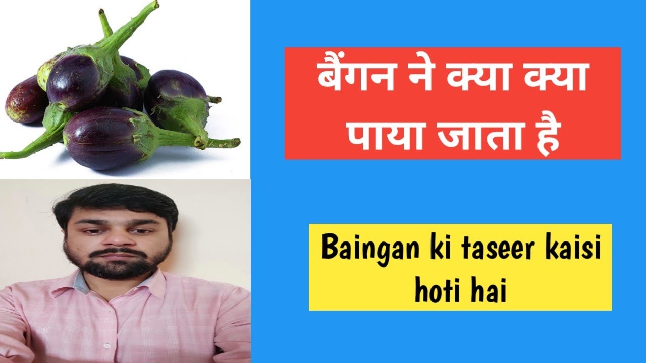 Baingan ki taseer Baingan me kya paya jata hai YouTube