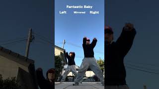 Fantastic Babybigbangdance Challenge Mirrored Tutorial