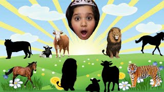 حيوانات المزرعه اختار الحيوان الصحيح دجاجه اسد نمر بقرة فيل جمل حصان قطة قرش Farm Animals Choose