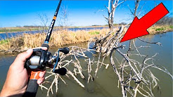Flipping THICK Brush for BIG Bass!!! - Bass Fishing Tournament