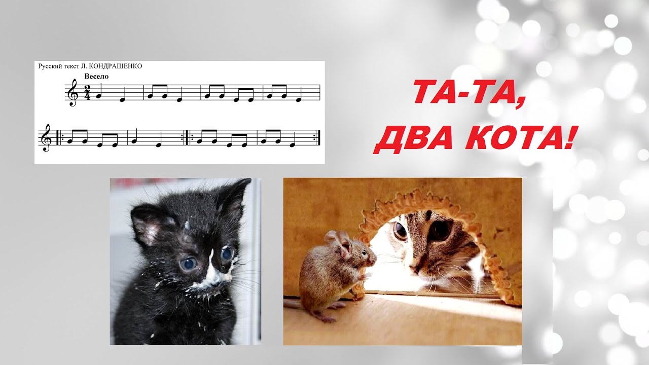Песня кота на пианино. Два кота Ноты. Кот и Ноты. Песенка два кота. Та та два кота два ободранных хвоста.