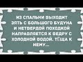 Из спальни выходит зять с большого будуна. Сборник Свежих Анекдотов! Юмор!